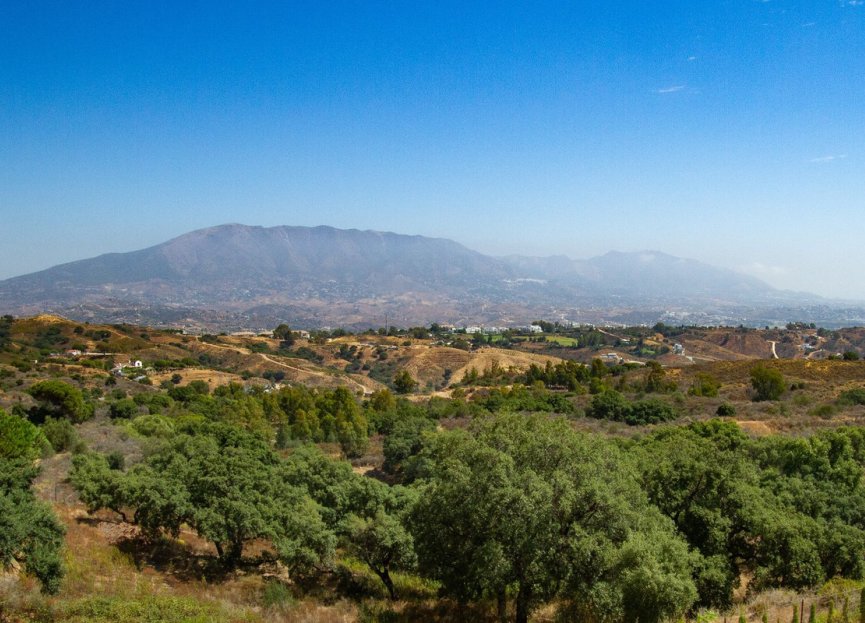 Resale - Ground floor apartment - Marbella - La Mairena