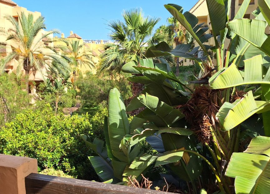 Resale - Apartment - Middle Floor Apartment - Manilva - La Duquesa