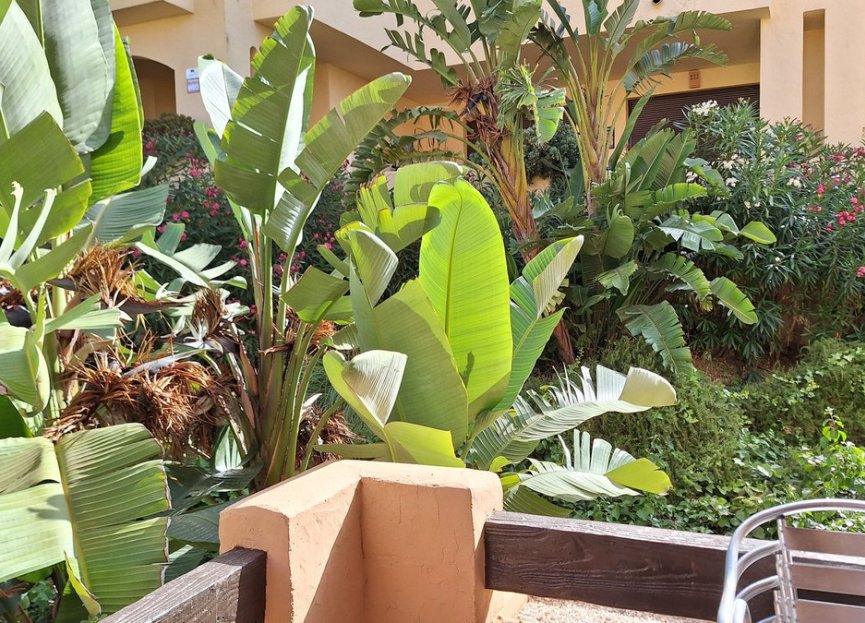 Resale - Apartment - Middle Floor Apartment - Manilva - La Duquesa