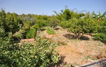 Resale - House - Detached Villa - Casares - Casares Playa