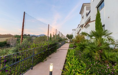 Resale - Apartment - Penthouse - Casares - Casares Playa