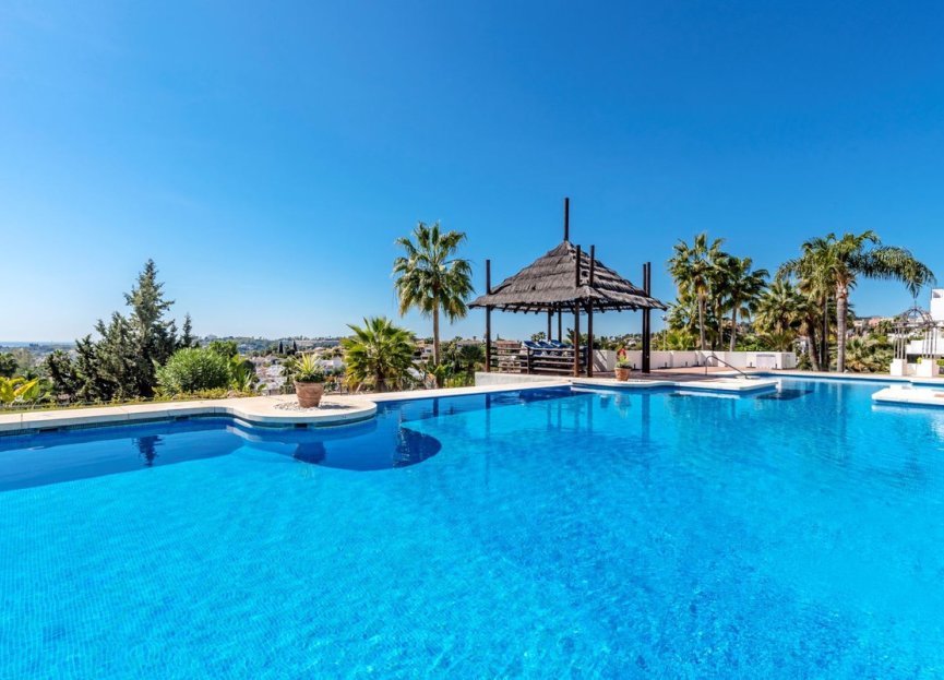 Resale - Ground floor apartment - Marbella - Nueva Andalucia