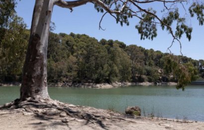 Resale - Ground floor apartment - Marbella - Nueva Andalucia