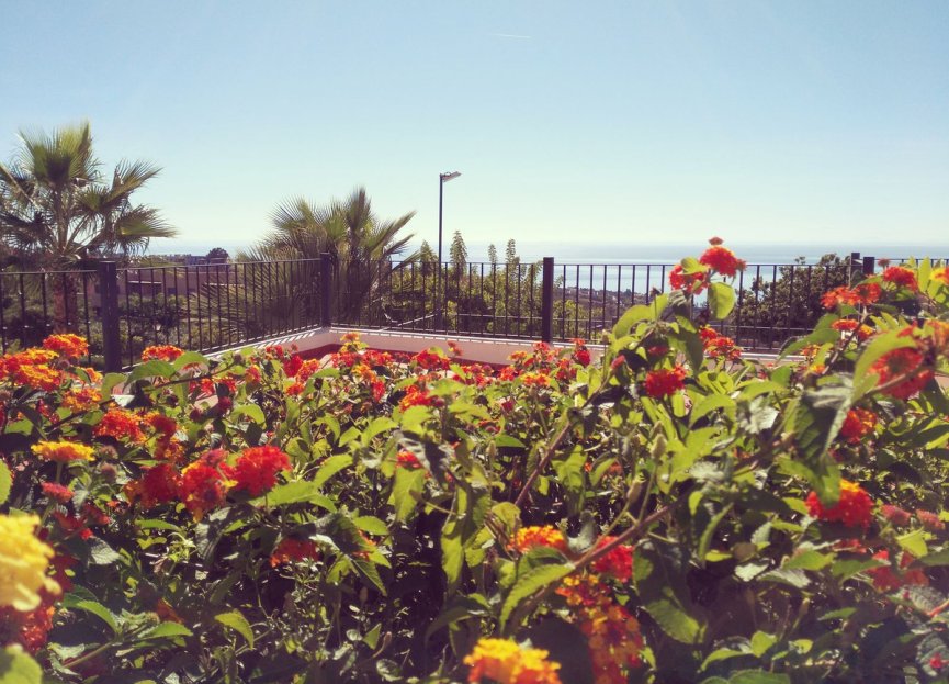 Reventa - House - Townhouse - Manilva - Manilva Centro