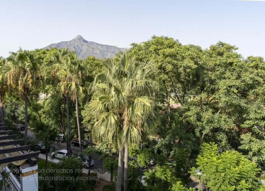 Resale - Apartment - Penthouse - Marbella - Puerto Banús