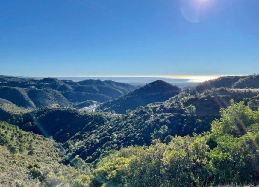 Resale - House - Detached Villa - Benahavís - Benahavís Centro