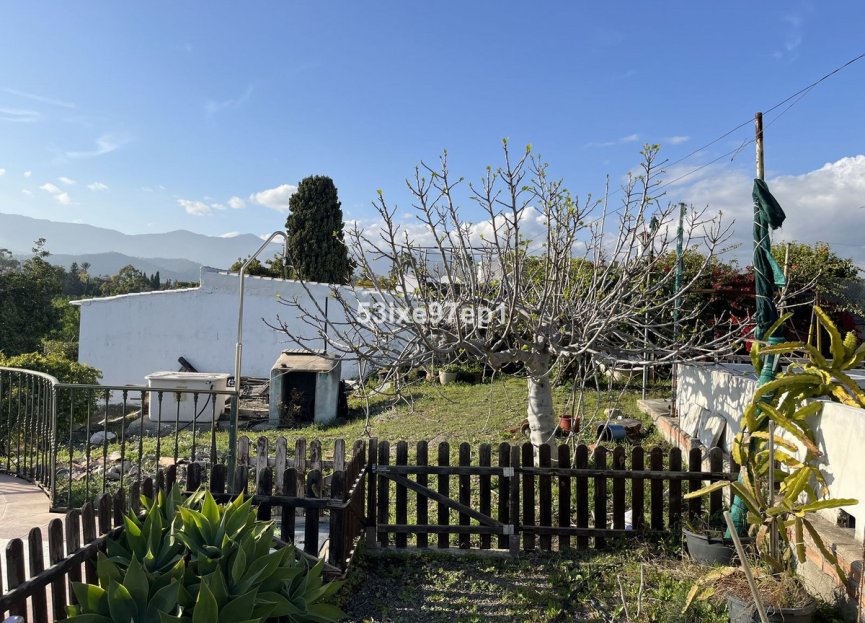 Obra nueva - House - Finca - Cortijo - Estepona - Estepona Centro