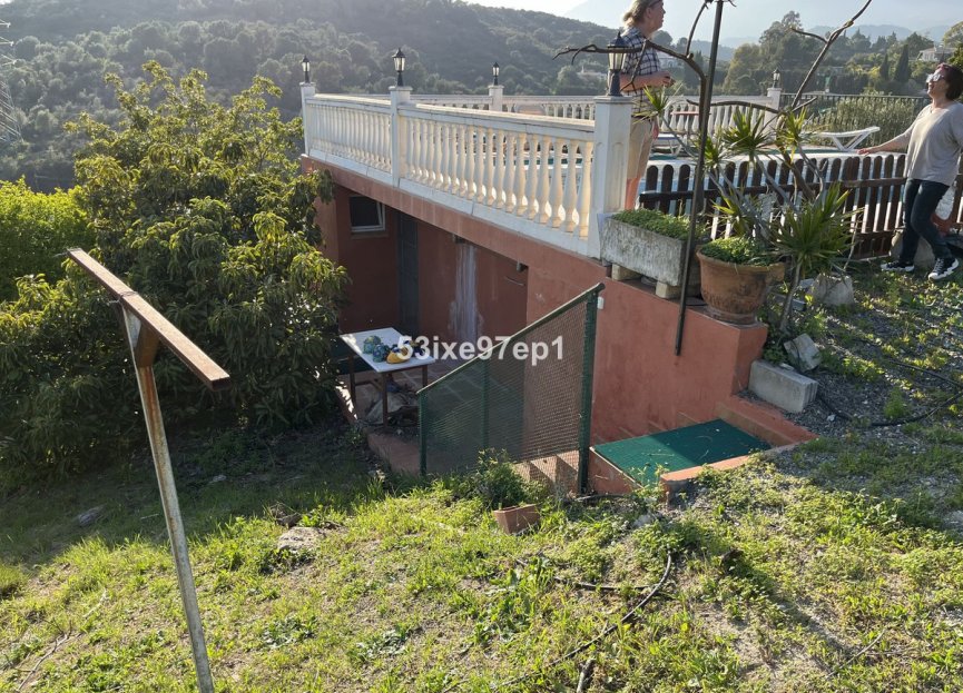 Obra nueva - House - Finca - Cortijo - Estepona - Estepona Centro