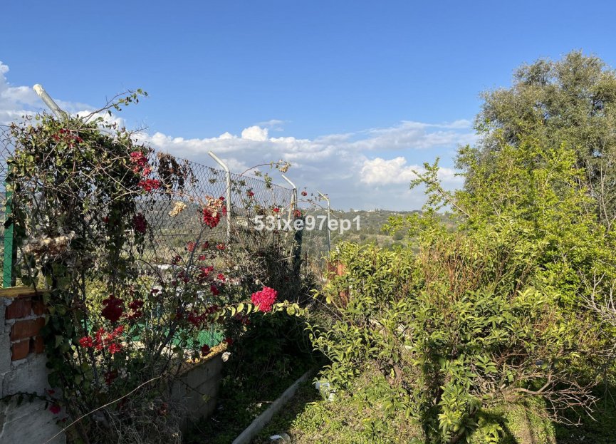 Obra nueva - House - Finca - Cortijo - Estepona - Estepona Centro