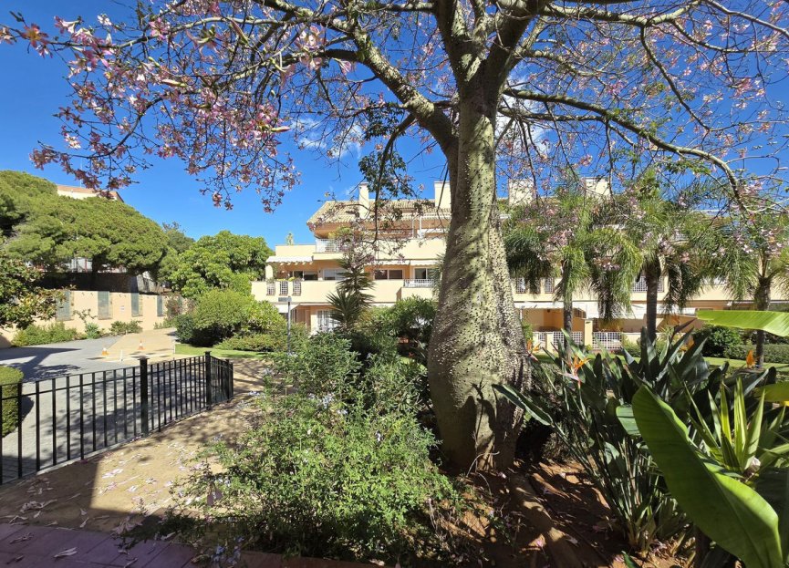 Resale - Apartment - Penthouse - Marbella - Elviria