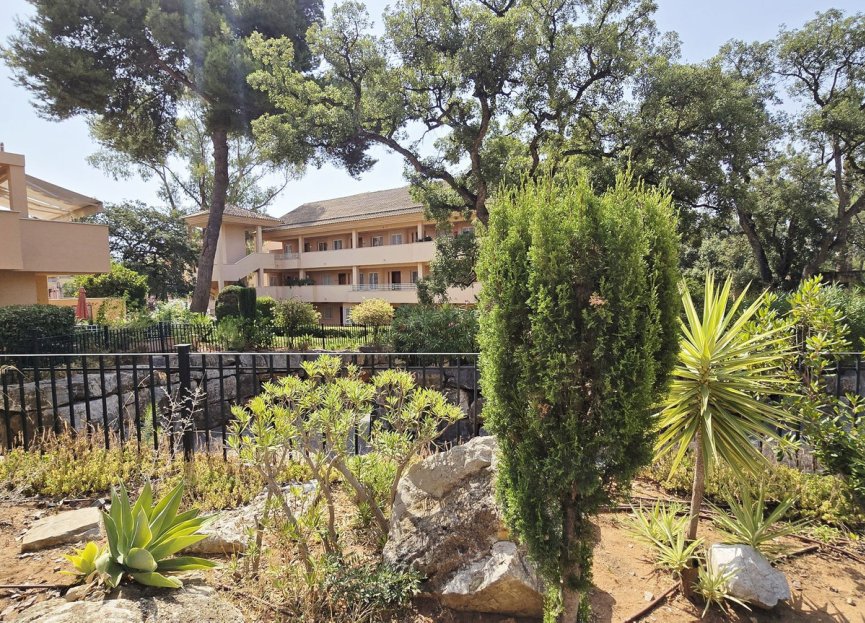 Resale - Apartment - Penthouse - Marbella - Elviria