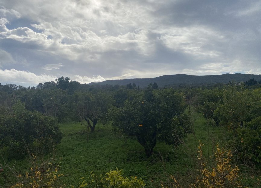 Resale - Plot - Land - Sotogrande