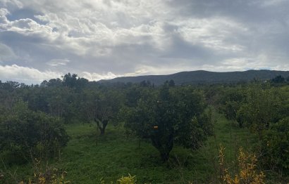 Resale - Plot - Land - Sotogrande