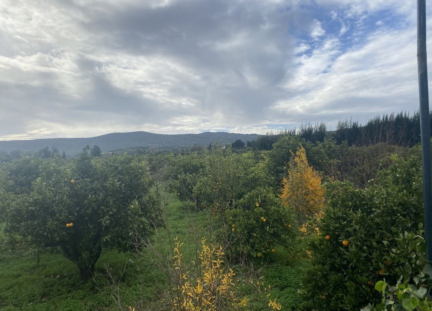 Resale - Plot - Land - Sotogrande