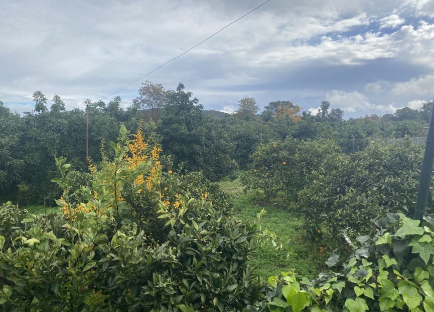 Resale - Plot - Land - Sotogrande