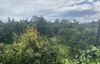 Resale - Plot - Land - Sotogrande