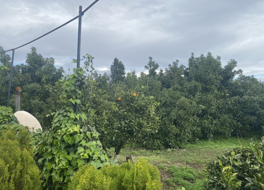 Resale - Plot - Land - Sotogrande