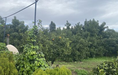 Resale - Plot - Land - Sotogrande