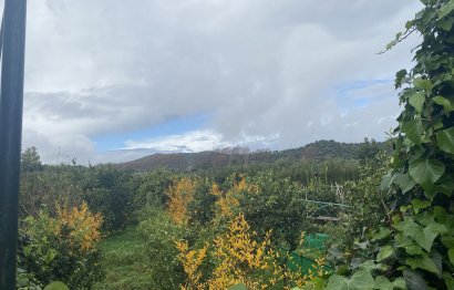 Resale - Plot - Land - Sotogrande