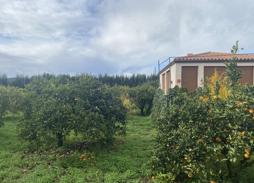 Resale - Plot - Land - Sotogrande