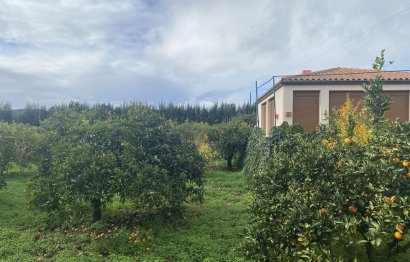 Resale - Plot - Land - Sotogrande