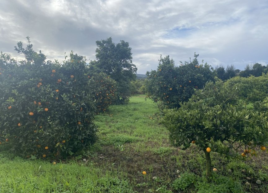 Resale - Plot - Land - Sotogrande