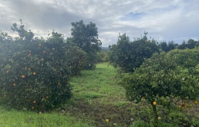 Resale - Plot - Land - Sotogrande