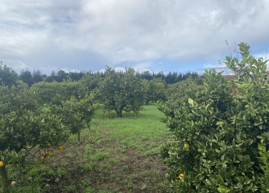 Resale - Plot - Land - Sotogrande