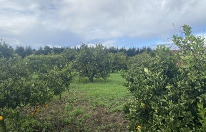 Resale - Plot - Land - Sotogrande