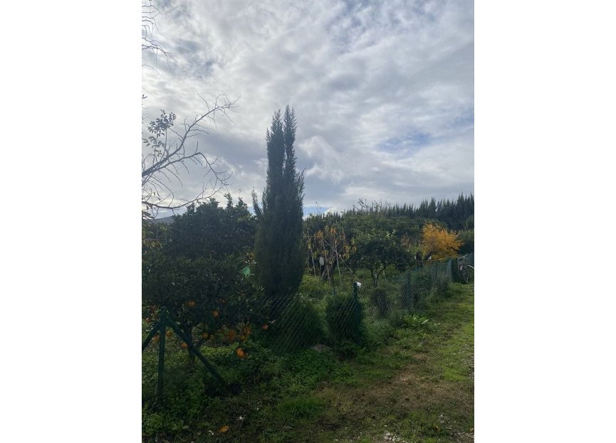 Resale - Plot - Land - Sotogrande