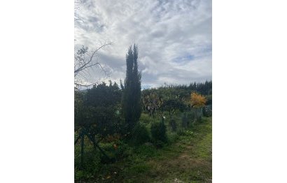 Resale - Plot - Land - Sotogrande