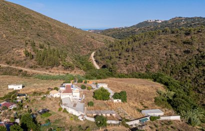 Reventa - Apartment - Duplex - Marbella - Marbella Centro