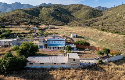 Reventa - Apartment - Duplex - Marbella - Marbella Centro