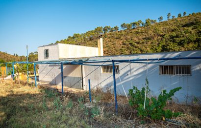 Reventa - Apartment - Duplex - Marbella - Marbella Centro