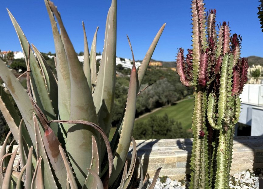 Resale - Apartment - Penthouse - Marbella - Cabopino