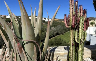 Resale - Apartment - Penthouse - Marbella - Cabopino