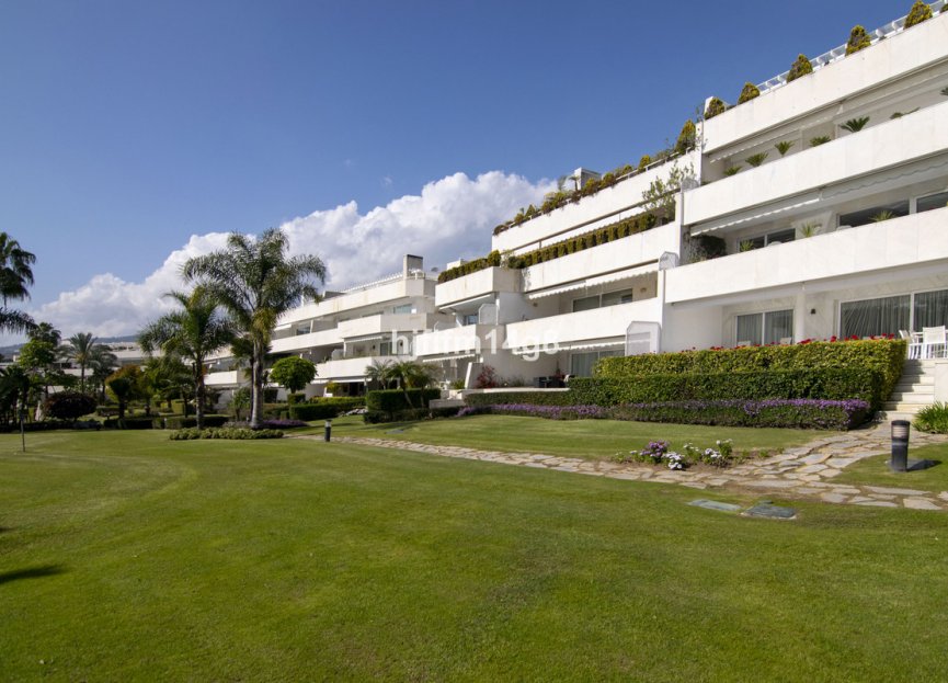 Resale - Apartment - Ground Floor Apartment - Marbella - Nueva Andalucia