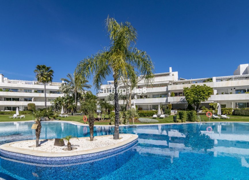 Resale - Apartment - Ground Floor Apartment - Marbella - Nueva Andalucia