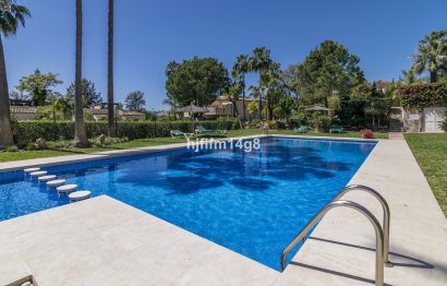 Resale - Apartment - Ground Floor Apartment - Marbella - Nueva Andalucia