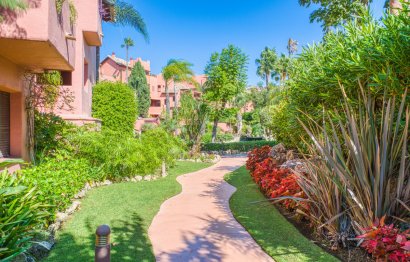 Resale - Apartment - Penthouse - Estepona - Estepona Centro