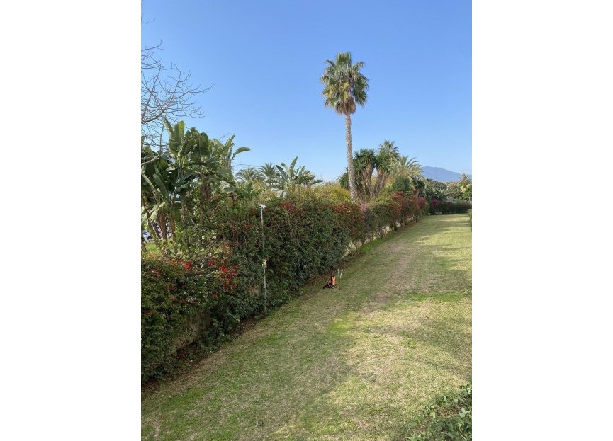 Resale - Ground floor apartment - Marbella - Puerto Banús