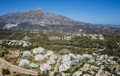 Resale - Apartment - Ground Floor Apartment - Marbella - Nueva Andalucia