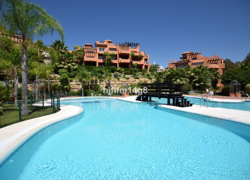 Resale - Apartment - Ground Floor Apartment - Marbella - Nueva Andalucia