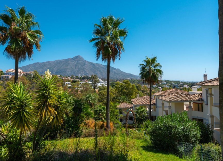 Resale - Apartment - Middle Floor Apartment - Marbella - Nueva Andalucia