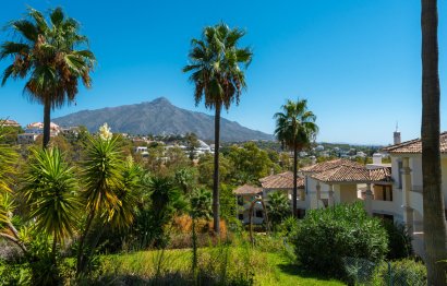 Resale - Apartment - Middle Floor Apartment - Marbella - Nueva Andalucia