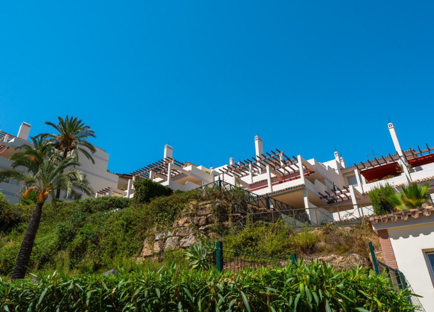 Resale - Apartment - Middle Floor Apartment - Marbella - Nueva Andalucia