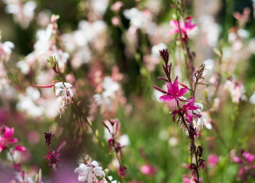 Resale - Apartment - Middle Floor Apartment - Benalmádena - Benalmadena Centro