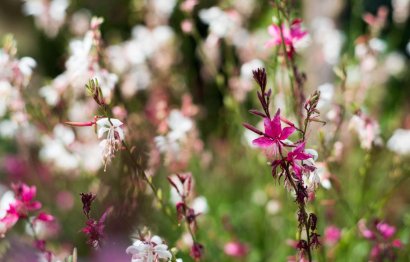 Resale - Apartment - Middle Floor Apartment - Benalmádena - Benalmadena Centro