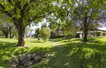 Resale - Apartment - Middle Floor Apartment - Marbella - Río Real