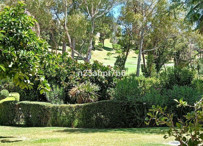 Reventa - Ground floor apartment - Marbella - Nueva Andalucia